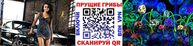 ссылка на мегу зеркало  Лыткарино  Галлюциногенные грибы MAGIC MUSHROOMS 